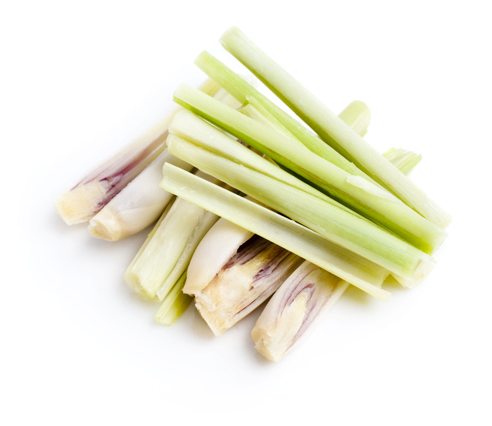Lemongrass (Cymbopogon citratus)