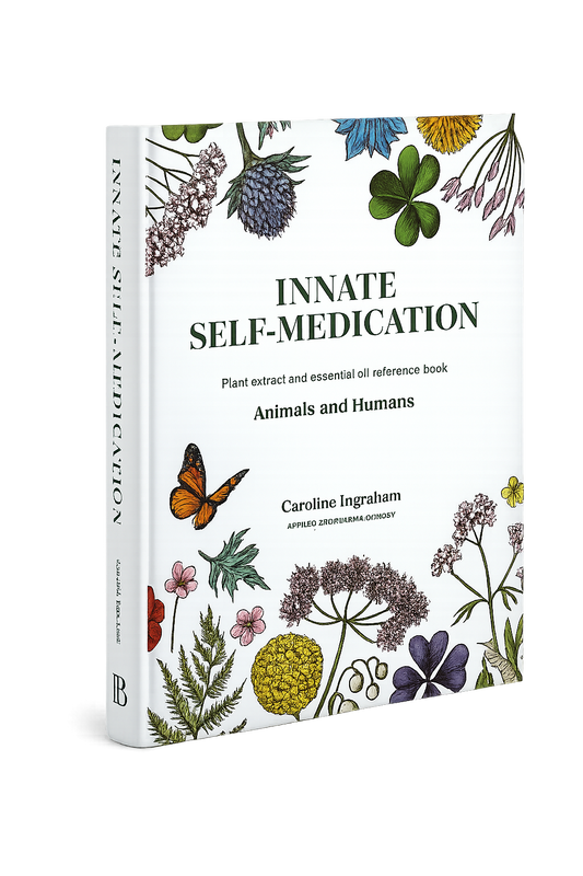 Innate Self-Medication by Caroline Ingraham - Hardback